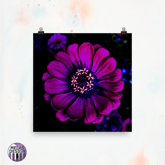 Hot Zinnia Flower Art Print Pink Dark Pop Art; 10x10