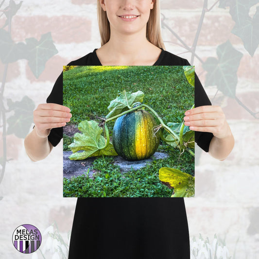 Growing Green Orange Pumpkin Art Print Photography