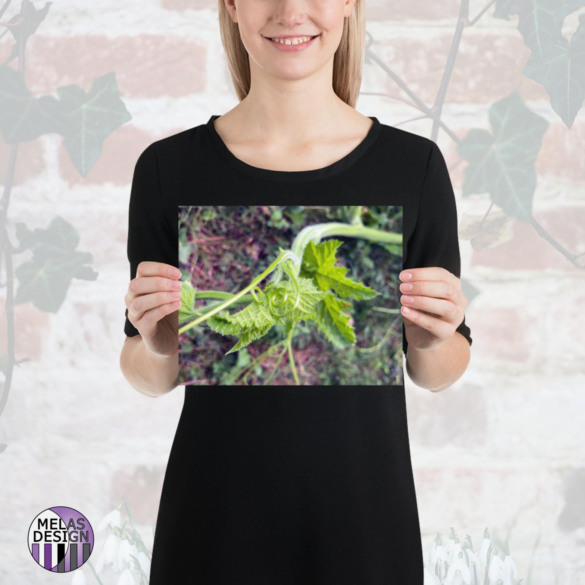 Pumpkin Vine; tendrils; Art Print; Photography; Melasdesign; 8x10