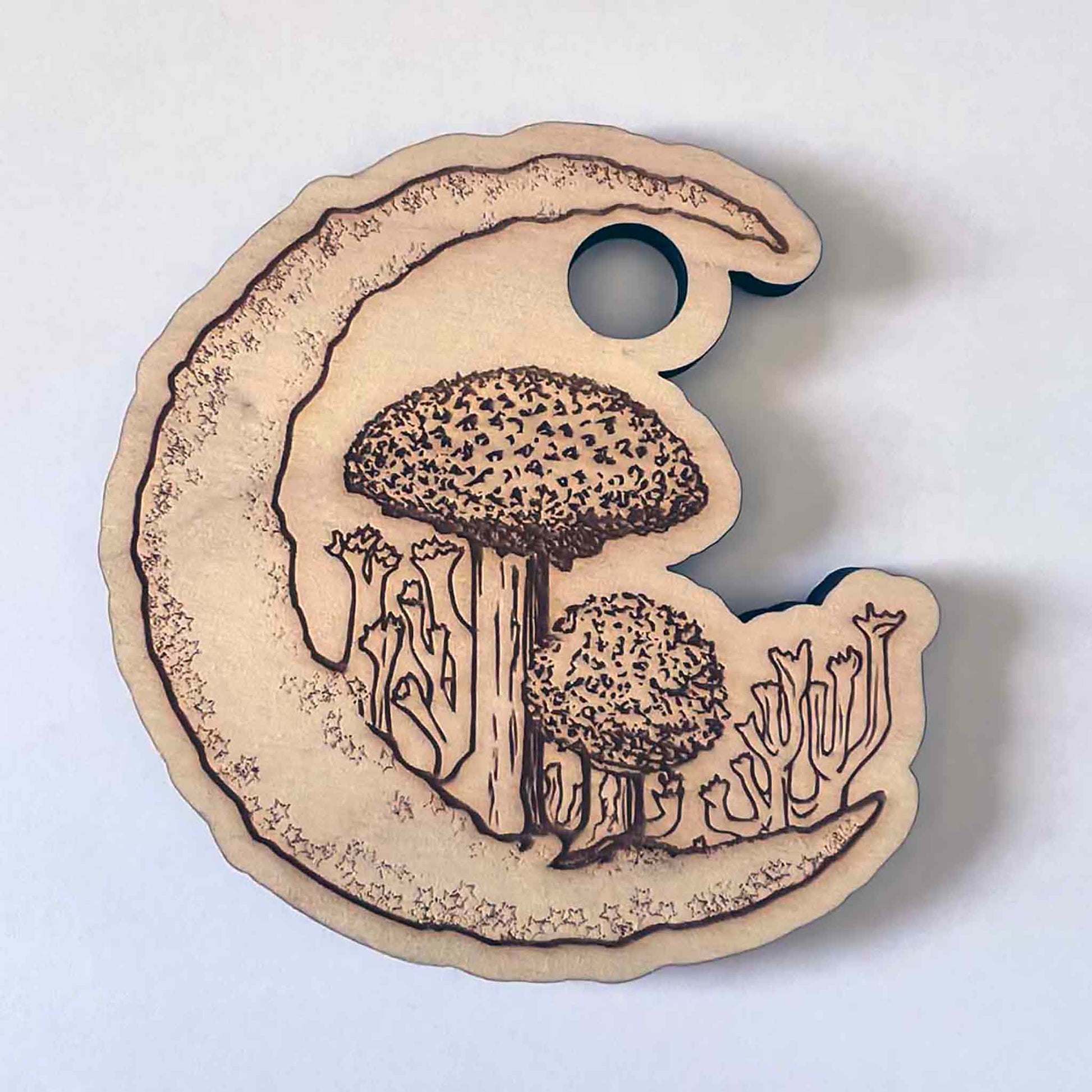 crystal stand; Melasdesign; nature; fungi; moon; West Virginia